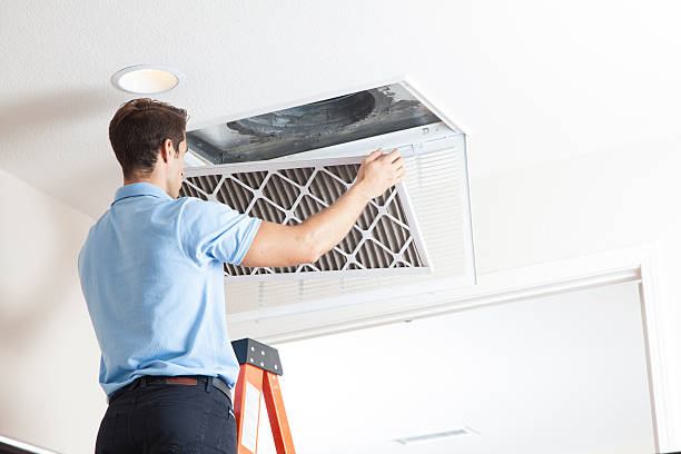 Best Air Filters and Purifiers in Whispering Pines, NC